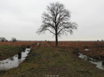 Engbertsdijksvenen